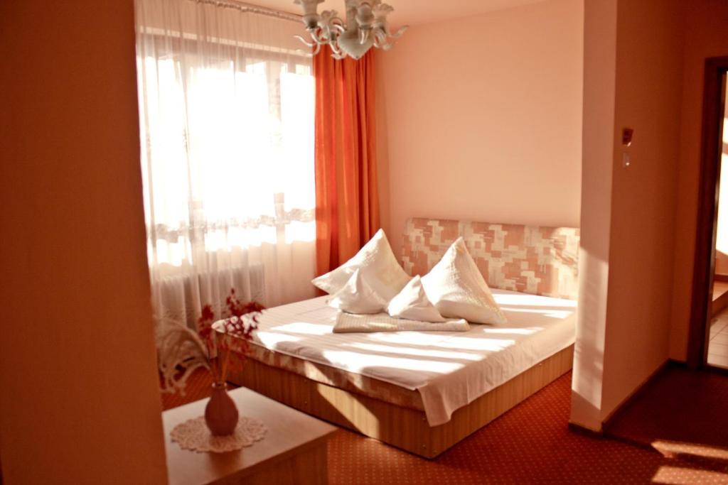 Pensiunea Vlad Home Timişoara Cameră foto